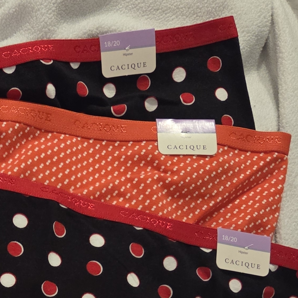 Cacique Lane Byant Hipster Panties 18/20